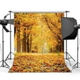 thumbnail image 1 of BSDHOME Polyester 5x7ft Photography Backdrop Rural Forest Autumn Fall Leaves Natural Scene Seamless Background Studio Prop CA363, 1 of 3