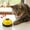 Yellow, variant on Pet Training Press Bell, Dog Cat Interactive Communication Bell, Paw Button Training Toy for Feeding Reminder Behavior Training Yellow