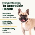 thumbnail image 4 of VetriScience Healthy Skin & Coat Chews for Dogs, Veggie, 70 Count, 4 of 11