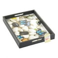 thumbnail image 2 of Zingz & Thingz Butterfly Rectangular Serving Tray - 9.5" - Black and White, 2 of 2