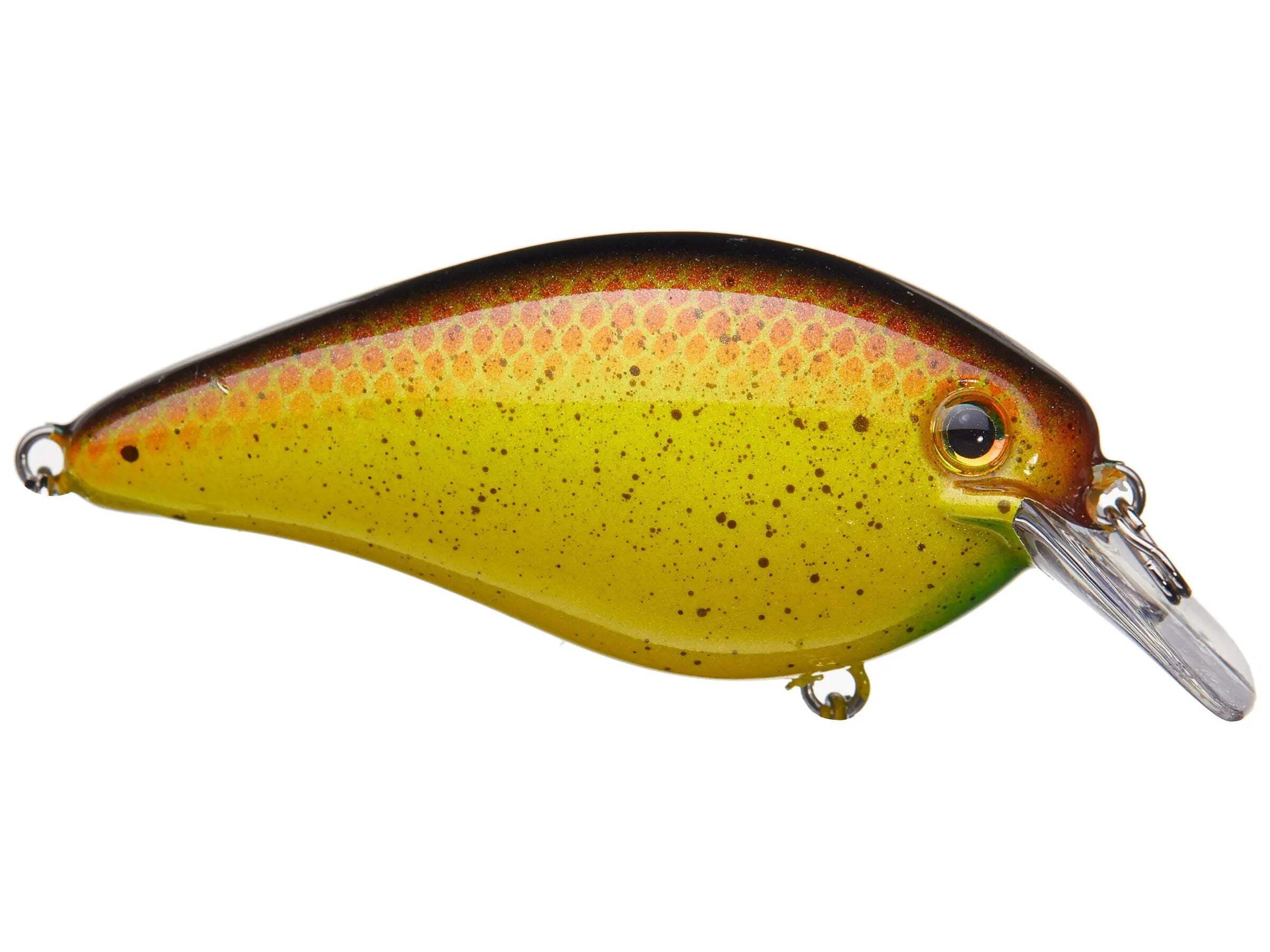 Strike King KVD Square 1.5 TN Shad 2.0