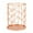 Rose Gold, variant on Origins in Williamstown (Hardcover)
