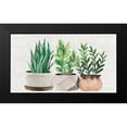 thumbnail image 2 of Allen, Kimberly 24x15 Black Modern Framed Museum Art Print Titled - Burlap Plants, 2 of 5
