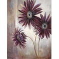 thumbnail image 2 of Withaar, Rian 15x18 Black Ornate Wood Framed with Double Matting Museum Art Print Titled - THREE FLOWERS, 2 of 4