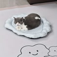 thumbnail image 4 of QUTETN Dog bed Cushion Summer Coolness Pet's bed Cat's Kennel, 4 of 4