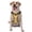 With Accessories, variant on Hand Drawn Strawberry Pattern Dog Harness,No Pull Pet Harness with Soft Padded Handle,Adjustable Reflective Vest with 2 Buckles,4 Slide Buckles,S-XL X-Large