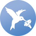thumbnail image 4 of WindowAlert Autocollants Colibris, 4 of 7