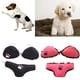 thumbnail image 2 of Juguete de peluche para masticar con forma de bikini para mascotas, juguete de peluche para perros, divertido juguete chirriante rosa Rosa roja, 2 of 9