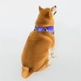 thumbnail image 2 of Kll Butterflies Dog Bandanas,Triangle Reversible Pet Scarf For Small Medium Large And Extra Large Dogs-Small, 2 of 7