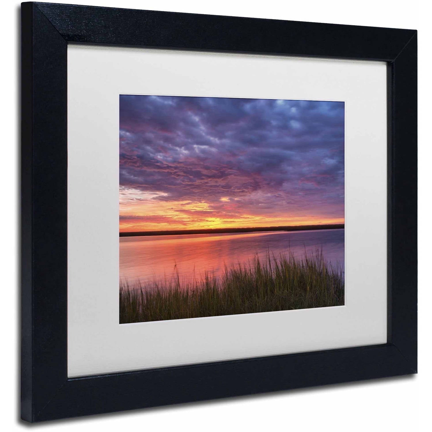 Trademark Fine Art 'Drama at the Marsh' Canvas Art by Michael Blanchette Photography, White Matte, Black Frame