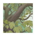 thumbnail image 3 of Awaiting the Elm Tree - Canvas, 3 of 25