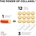 thumbnail image 4 of Collanol Joint & Mobility Support – Advanced 3D Collagen Complex + Turmeric Extract – Daily Capsule for Cartilage, Flexibility & Joint Comfort – Lab Tested Formula, 1 Capsule Per Day, 4 of 11