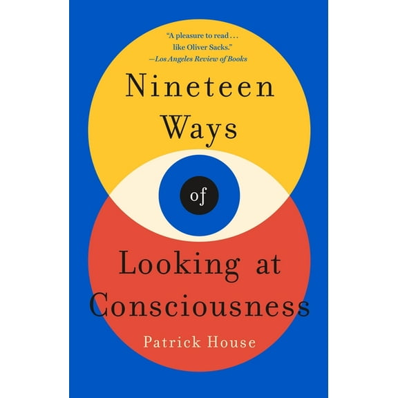 Nineteen Ways of Looking at Consciousness (Paperback)