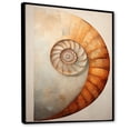 thumbnail image 2 of Designart "Curves Of Copper In Nautilus Spiral" Nautilus Floater Framed Canvas Wall Art, 2 of 5