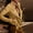 Yellow, variant on Simua Women's Faux Leather Motorcycle Cropped Jacket Fashion Moto Biker Coat Long Sleeve Button Coats