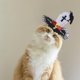 thumbnail image 3 of Mascota De Halloween, Gorra De Cosplay De Perro Bonito, Tocado Cruzado De Esqueleto Para Cumpleaños, Halloween, Navidad Serendint HA044035-01, 3 of 6