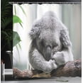 thumbnail image 3 of Ambesonne Koala Shower Curtain, Small Bear Like Animal Art, 69"Wx84"L, Pale Grey Dark Cocoa, 3 of 4