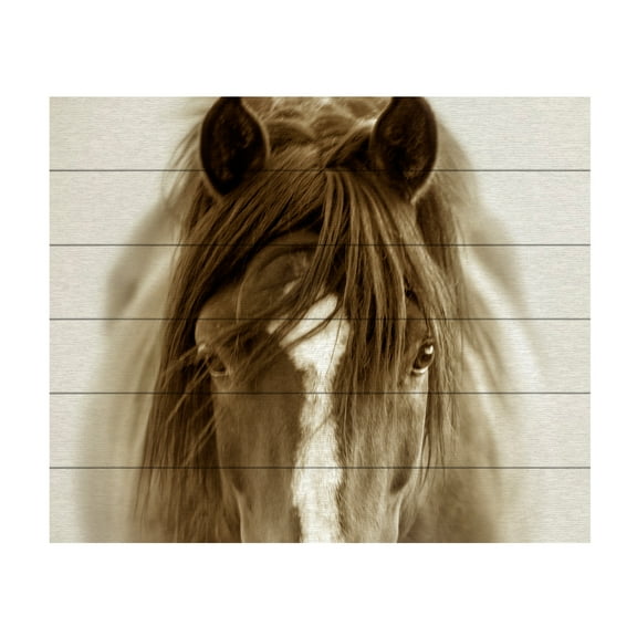 Lisa Dearing 'Ghost Horse' Wood Slat Art 18x22