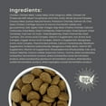 thumbnail image 5 of Muenster Ancient Grains Chicken and Turkey Based Dog Food For Large Breeds, All Life Stages, 22 lb Bag, 5 of 11