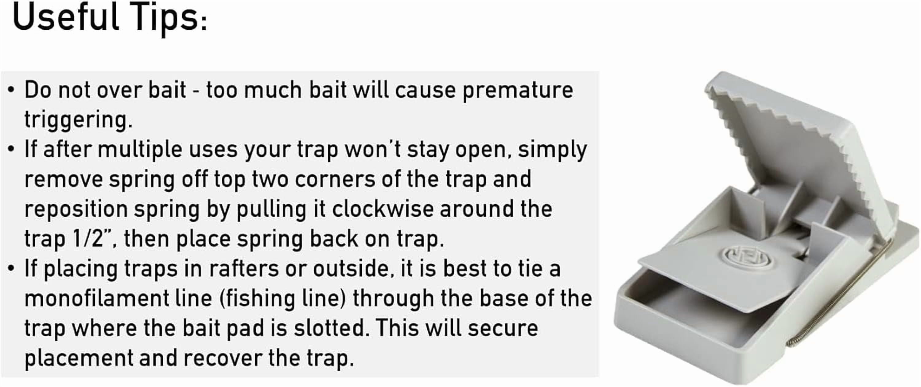 6 Pack Intruder 16500 The Better Rodent Trap