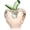 Champagne, variant on Ornament Glass Fruits Collectibles Apples for Office Decor(Colorful)
