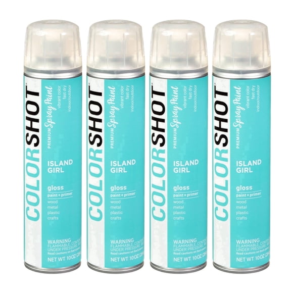 COLORSHOT Gloss Spray Paint, Island Girl (Mint) 10 oz. 4 Pack, Fast-Drying Acrylic Paint, Indoor & Outdoor Use