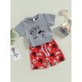 thumbnail image 3 of Wassery Toddler Baby Boy Western Clothes 6M 12M 2T 3T 4T Kids Short Sleeve T-Shirt Cartoon Animal Print Toddler Summer Shorts Outfit, 3 of 8