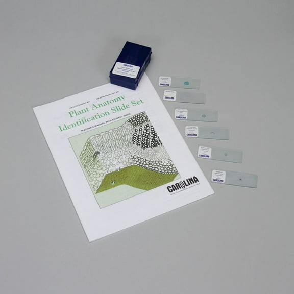 Plant Anatomy Identification Student Microscope Slide Set