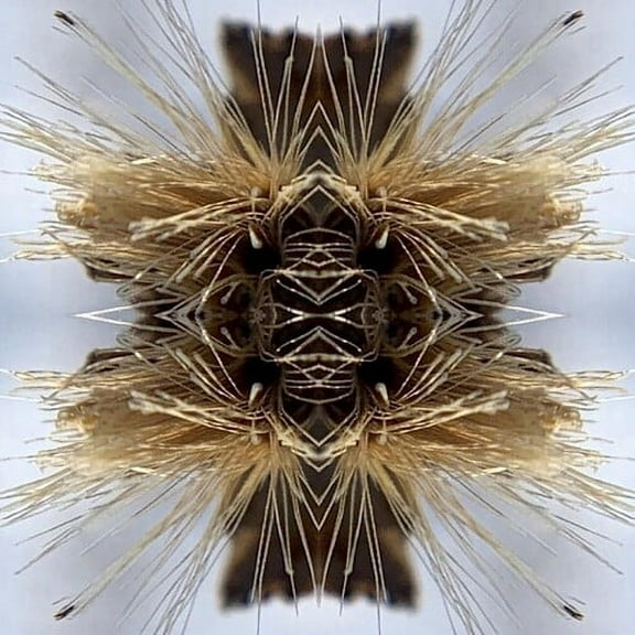 Yakuza - Sutra - Music & Performance - CD