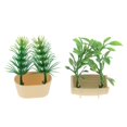 thumbnail image 4 of Pntas Decoración de Plástico Jardín Balcón Accesorios para 1/12 Juguete Regalo Niño Niña Zulema Dollhouse Vegetables Plants, 4 of 8