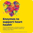thumbnail image 6 of Enzymedica, Natto-K, Nattokinase Supplement, Supports Heart Health, 90 Capsules, 6 of 10