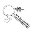thumbnail image 1 of Funny Nurse RN Gift Nurse Appreciation Keychain Nurses Day Gift Doctor Nursing Jewelry Not All Superheroes Wear Capes Some Wear Scrubs Nurse Life Keychain, 1 of 7