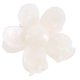 thumbnail image 4 of Pinzas para el Pelo con Flores de Acetato de 2,75 Pulgadas, Bonitas Pinzas para el Pelo con Margaritas para Cabello Fino, Pinzas Florales Grandes para Mujeres y NiñAs D, 4 of 5