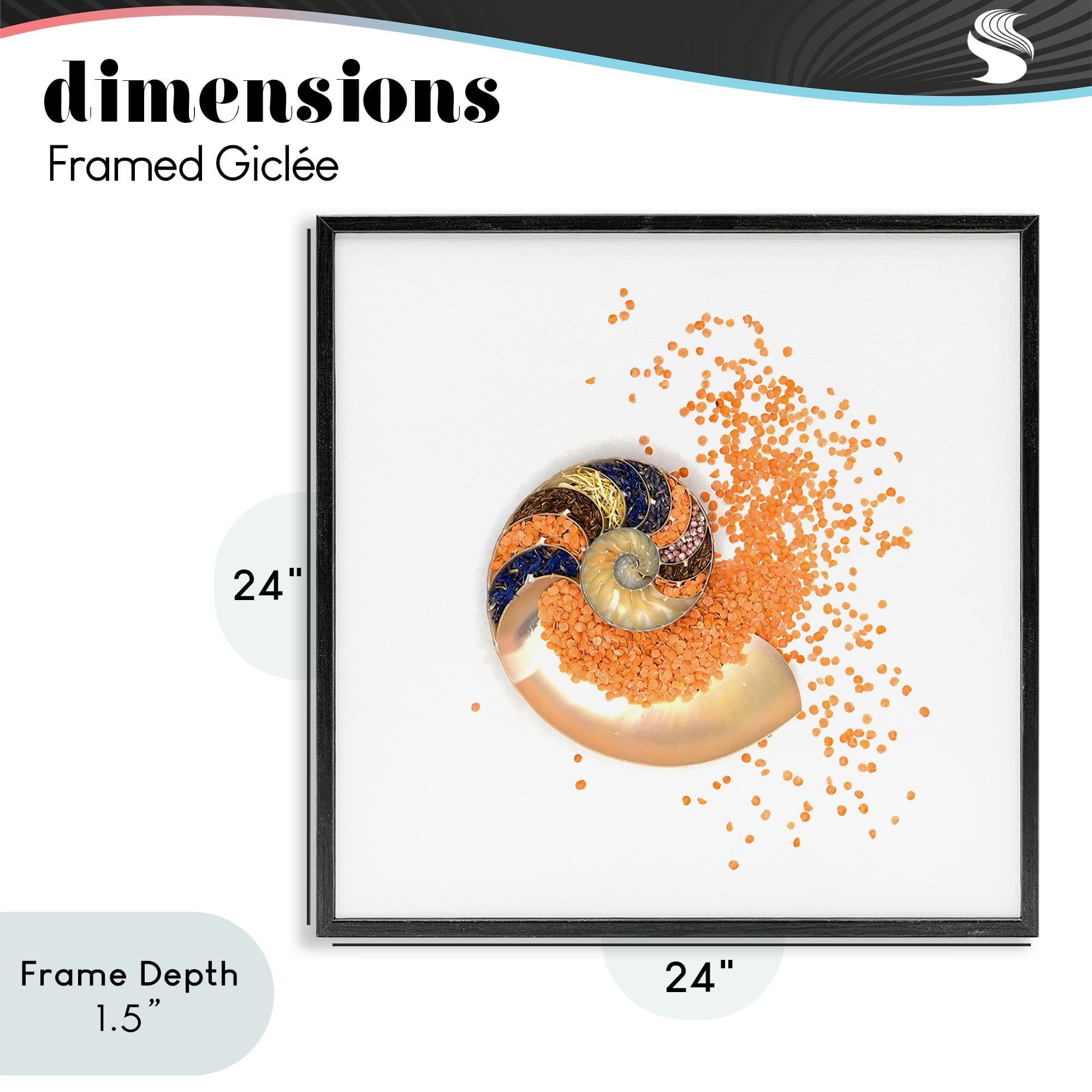 Stupell Industries Orange Nautilus Spiral Black Framed Giclee Art, design by Beth Adoette