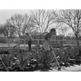 thumbnail image 2 of Couple Gardening Near Their New Deal Homestead History (36 x 24), 2 of 2