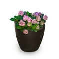 thumbnail image 1 of Jardinière haute Modesto 51 cm, 1 of 2