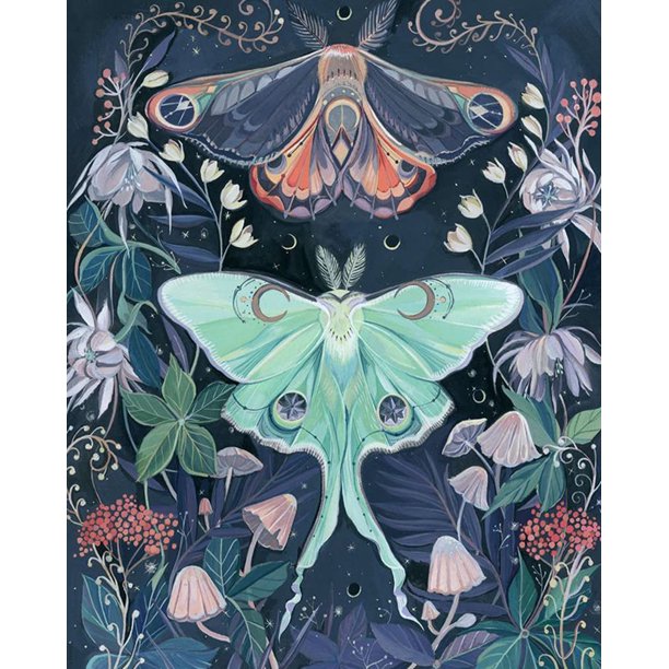 TISHIRON Paint by Numbers for Adults,16x20 inch Canvas Wall Art