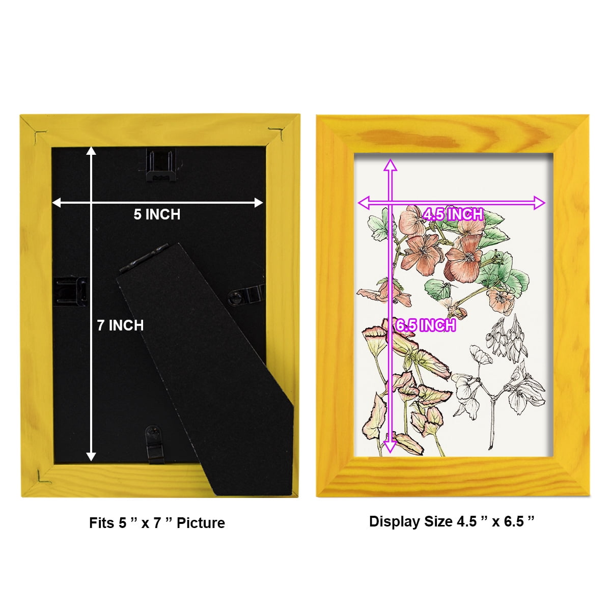 Begonia Study -Framed Print w/glass-Sunflower Yellow