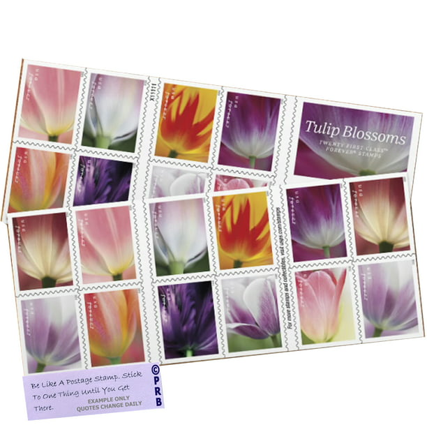 Tulip Blossoms USPS Forever Postage Stamp 1 Book of 20 US First Class