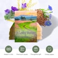 thumbnail image 3 of Pack of 20 Pre-Filled Seed Mix Packet Wildflowers Plant for Funerals, Memorial Services "in Loving Memory Flower Path" Also Serves Thank You Celebration of Life Favors Plant Seeds Year-Round, 3 of 6