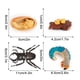 thumbnail image 3 of Fiudx Ofertas flash Artículos en oferta Figura de insecto de 4 piezas, ciclo de vida, cría de plástico hasta período, 3 of 4