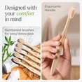 thumbnail image 3 of VIVAGO Bamboo Toothbrushes Bulk Soft Bristles (50 Pack) - Eco-Friendly, Natural Wooden Toothbrush, 3 of 6