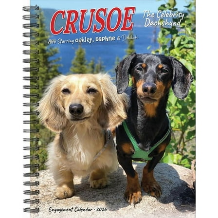 Crusoe the Celebrity Dachshund 2026 Engagement Calendar, (Paperback)