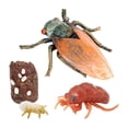 thumbnail image 3 of Conjunto de modelos de de de animales Juguete de salmón Colección de juguetes educativos para niños - Cigarra, 3 of 8