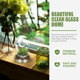 thumbnail image 5 of Shuliwen Glass Bell Flower Display for Garden or Terrarium Plants, 5 of 10
