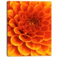 thumbnail image 2 of Orange Abstract Flower and Petals - Floral Canvas Art Print, 2 of 3