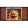 thumbnail image 2 of Pomeranian "Paws on the Windowsill" A House is Not a Home Key and Leash Holder featuring the art of Scott Rogers, 2 of 2