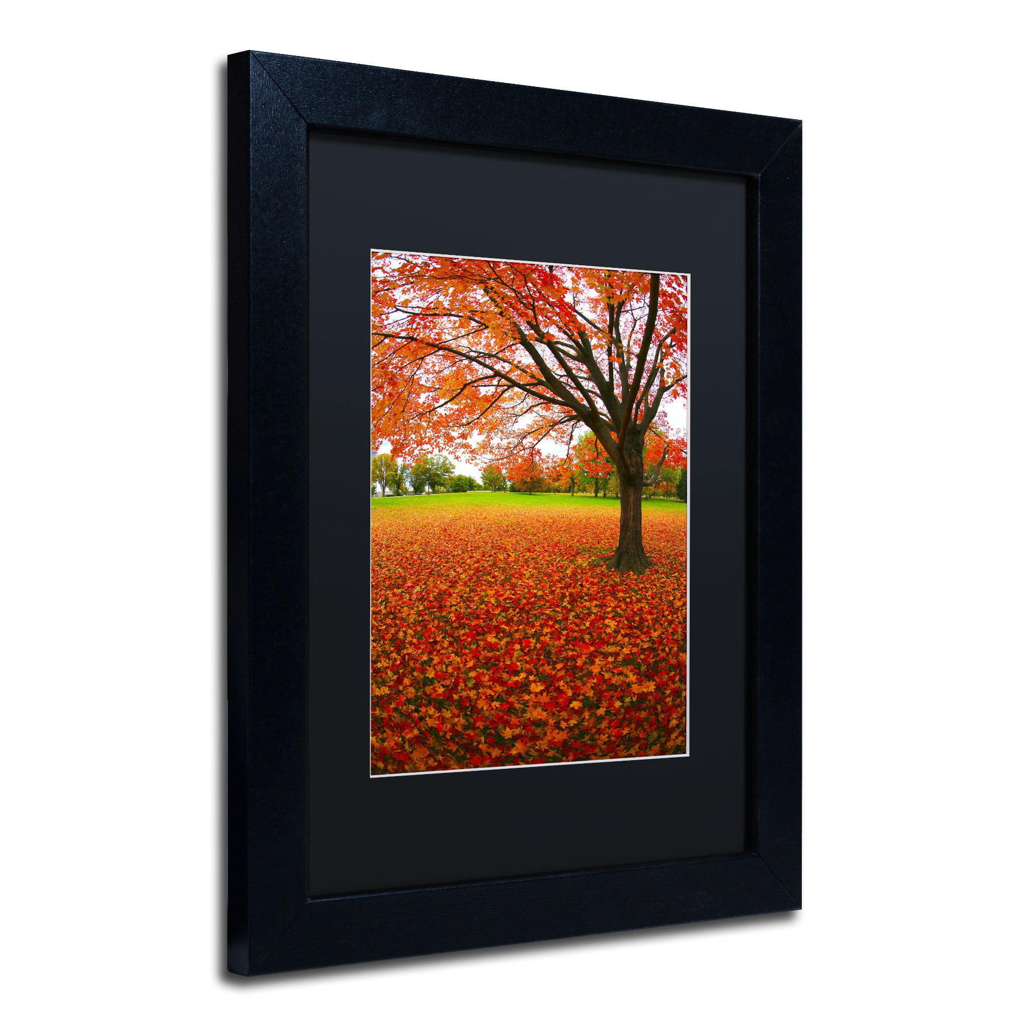 Trademark Fine Art "Autumn Expressions" Canvas Art by CATeyes, Black Matte, Black Frame