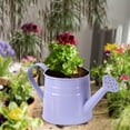 thumbnail image 1 of Mini regadera de Metal, macetero de 9,6x4,5 pulgadas, contenedor de flores decorativo multiusos, Cubo de jardín para amantes de las plantas, Púrpura, 1 of 8