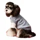 thumbnail image 1 of Ropa Para Perros Otoño E Invierno, 1 of 8